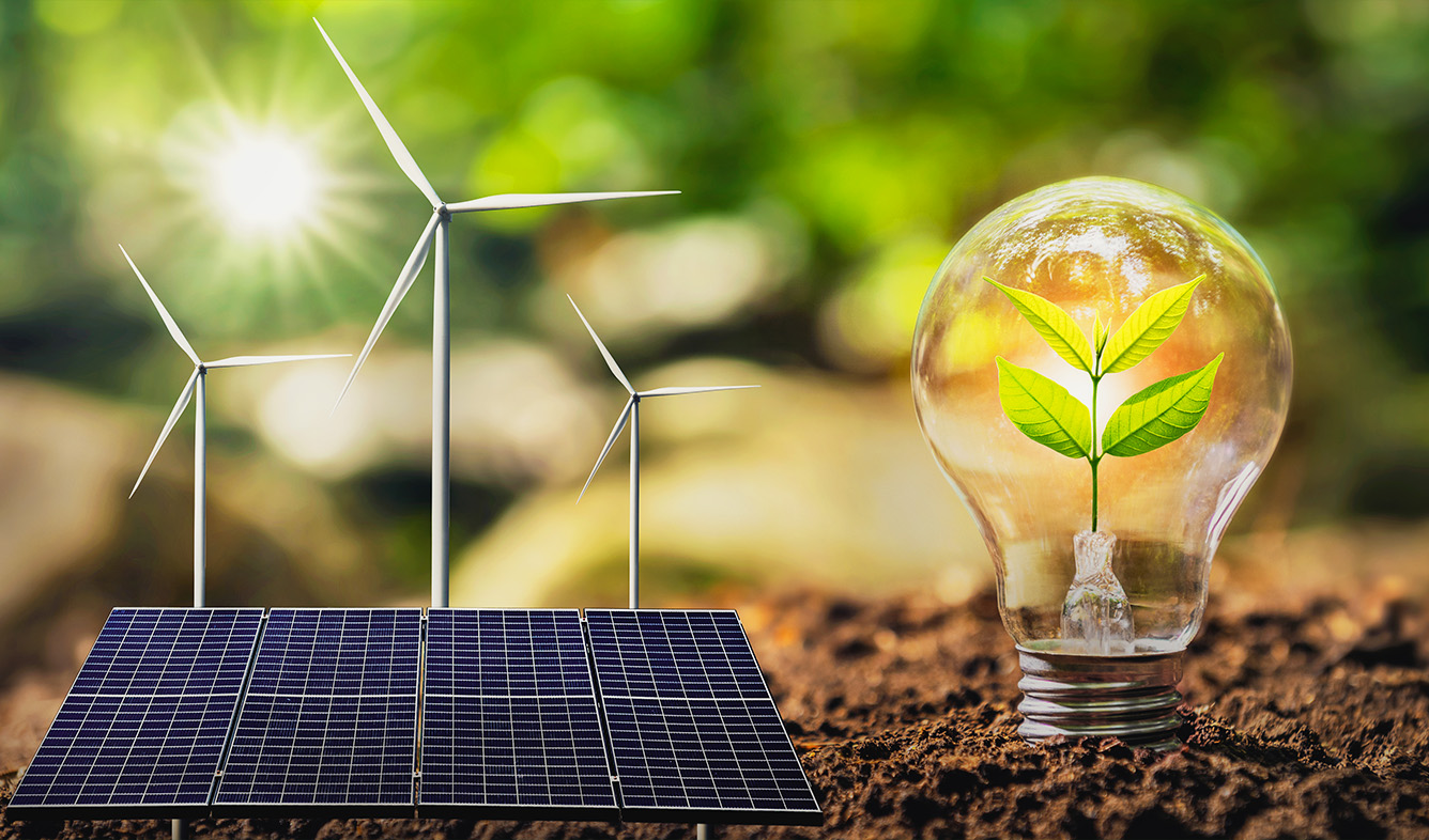 The Role of Renewable Energy in Sustainability