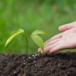 What Are Biofertilizers? Benefits & Types Guide