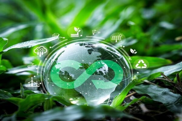 India's Circular Economy: How Waste Creates Value